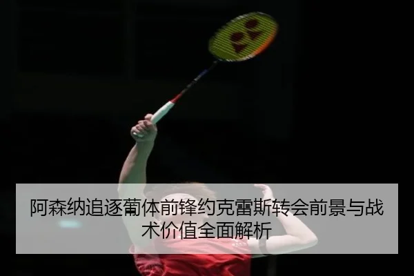 阿森纳追逐葡体前锋约克雷斯转会前景与战术价值全面解析