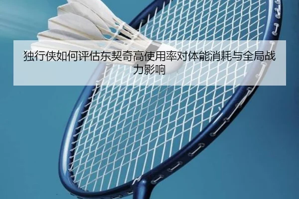 独行侠如何评估东契奇高使用率对体能消耗与全局战力影响