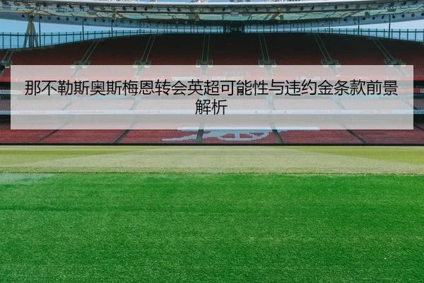 那不勒斯奥斯梅恩转会英超可能性与违约金条款前景解析
